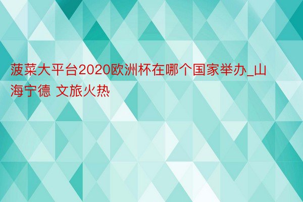 菠菜大平台2020欧洲杯在哪个国家举办_山海宁德 文旅火热